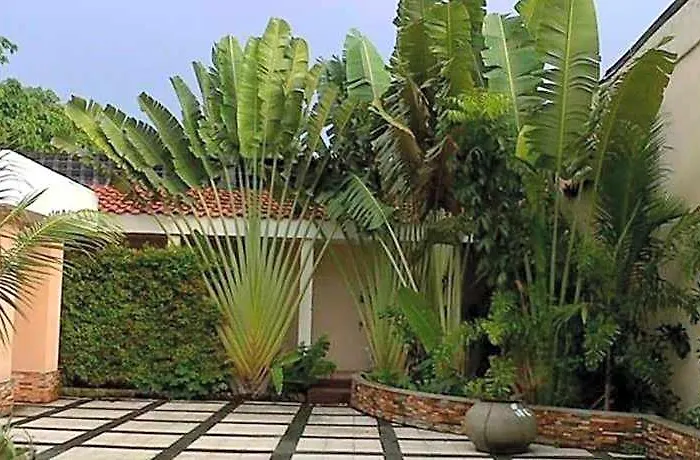 The Orchard & Powered By Cocotel 3*